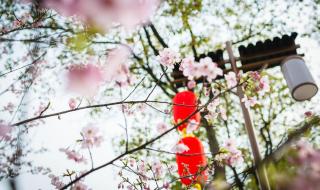 做人不要太老实